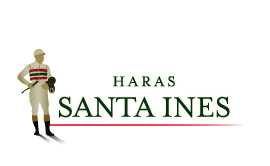 HARAS SANTA INES :: Home of INVASOR World Champion